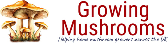 Growing Mushrooms Logo
